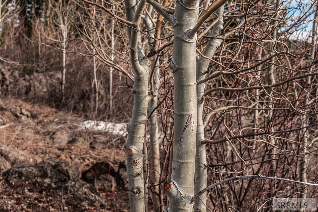 Na Idmon Road Spencer, ID 83446 - Photo 21 of 24