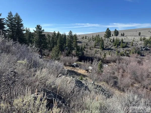 $250,000 | Na Idmon Road, Spencer, ID 83446