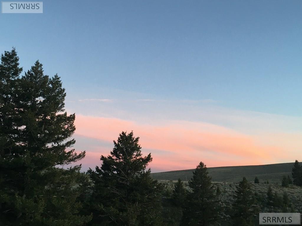 Na Idmon Road Spencer, ID 83446 - Photo 23 of 24