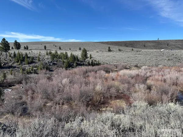 $250,000 | Na Idmon Road, Spencer, ID 83446