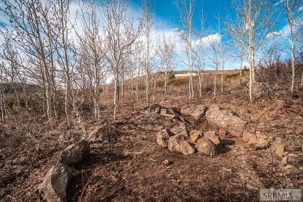 $250,000 | Na Idmon Road, Spencer, ID 83446