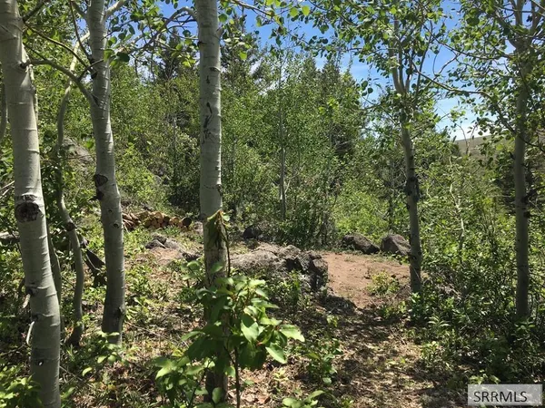 $250,000 | Na Idmon Road, Spencer, ID 83446