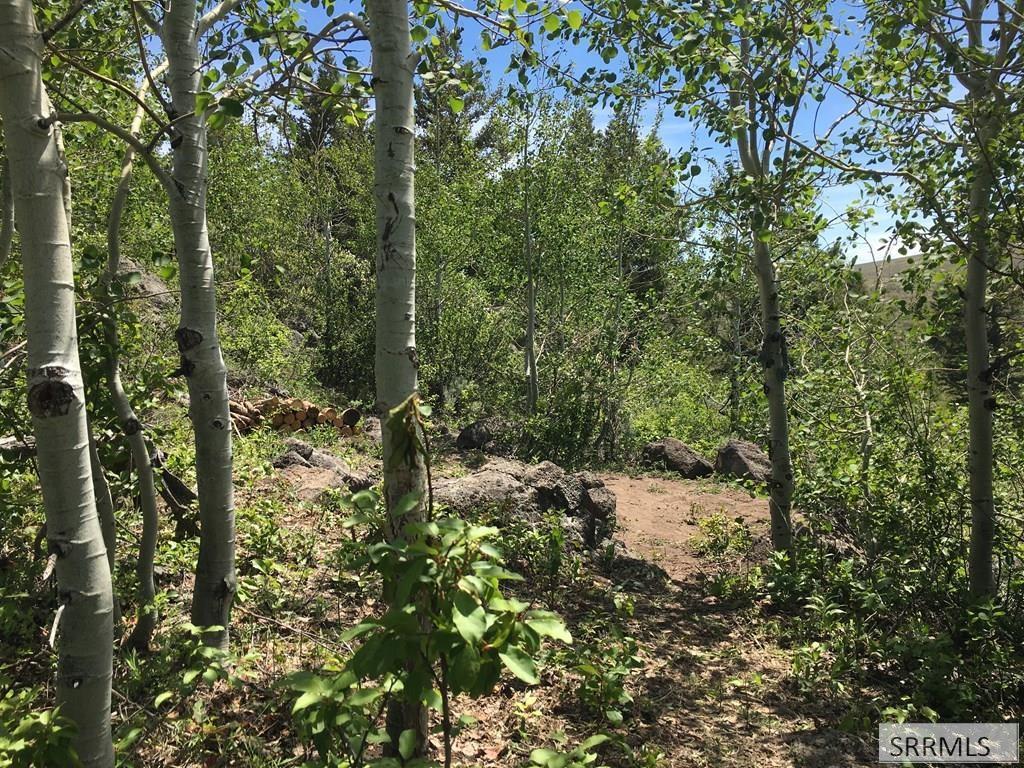 Na Idmon Road Spencer, ID 83446 - Photo 4 of 24