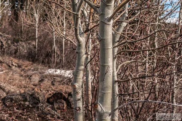 $250,000 | Na Idmon Road, Spencer, ID 83446