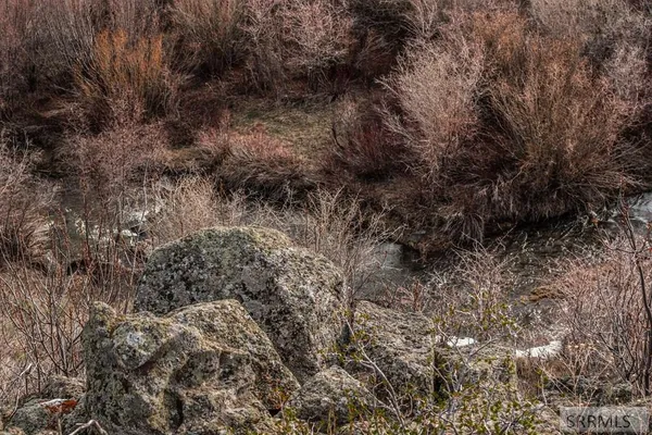 $250,000 | Na Idmon Road, Spencer, ID 83446