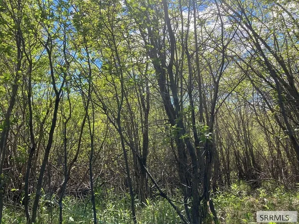 $250,000 | Na Idmon Road, Spencer, ID 83446