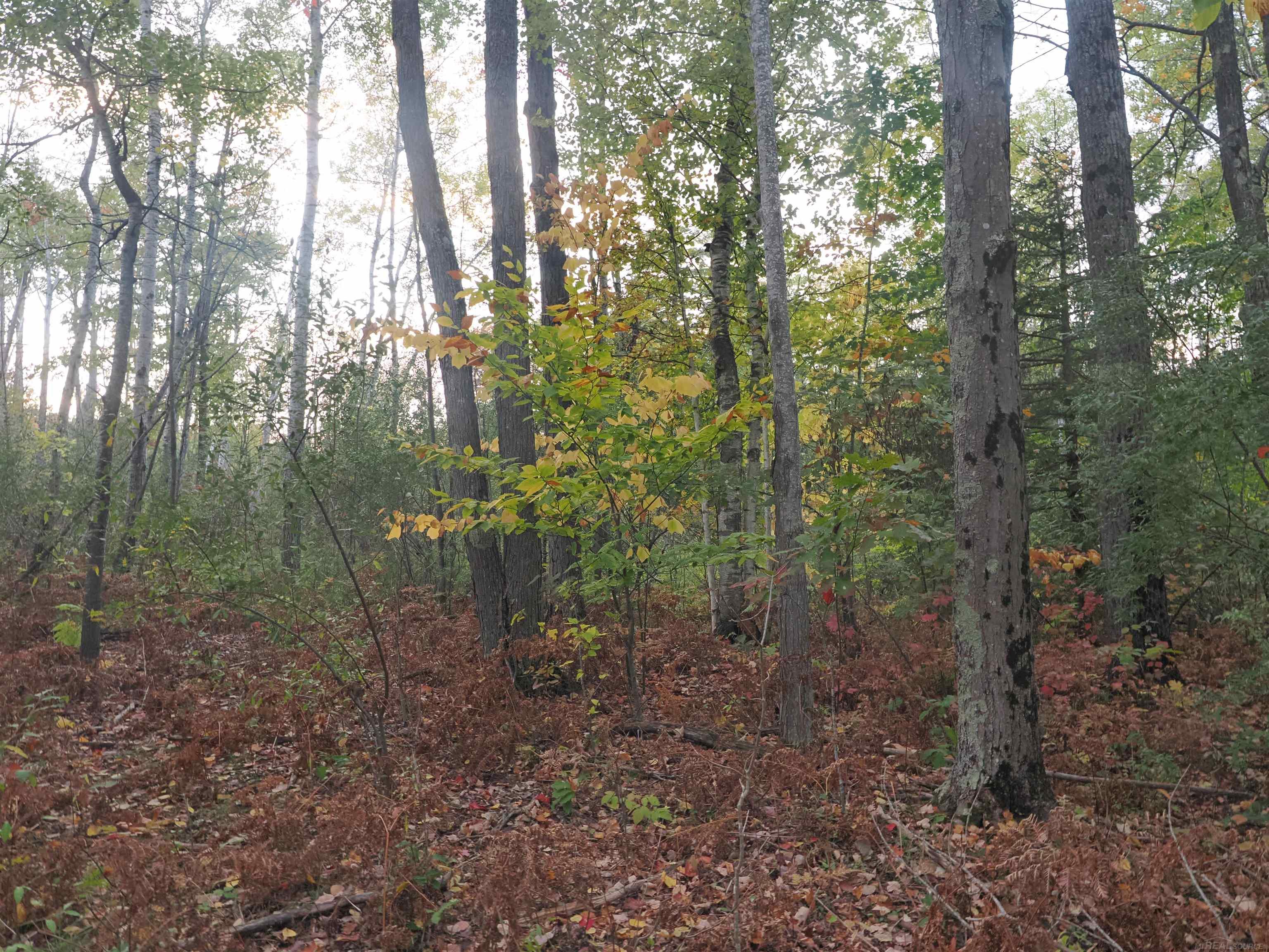 Xxx Tolan Road Spruce, MI 48762 - Photo 63 of 79
