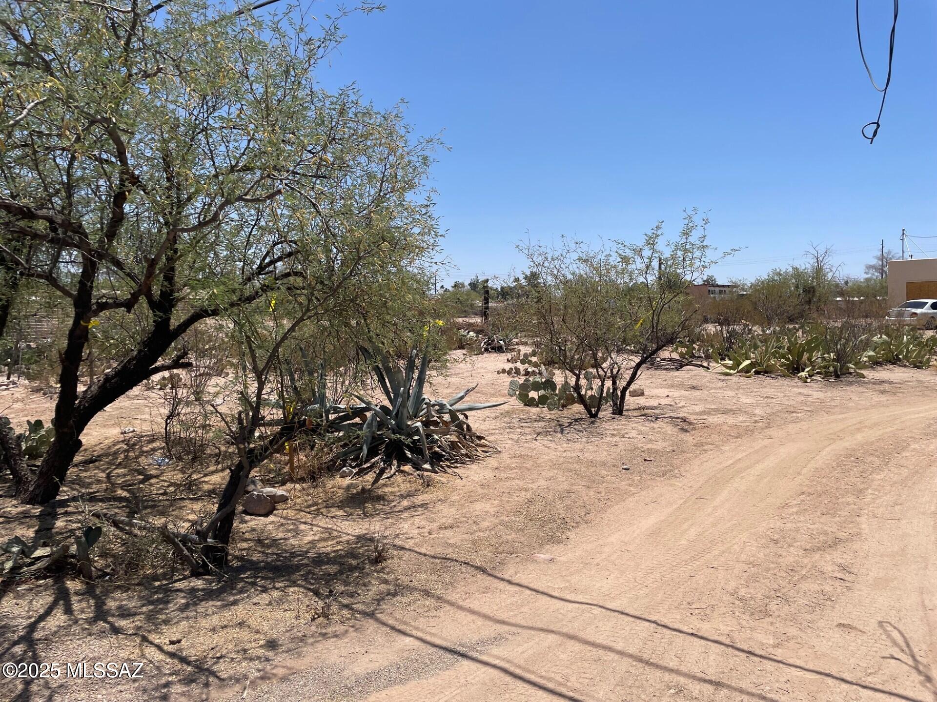 1110 East Halcyon Road Tucson, AZ 85719 - Photo 11 of 12 thumbnail_IMG_5244