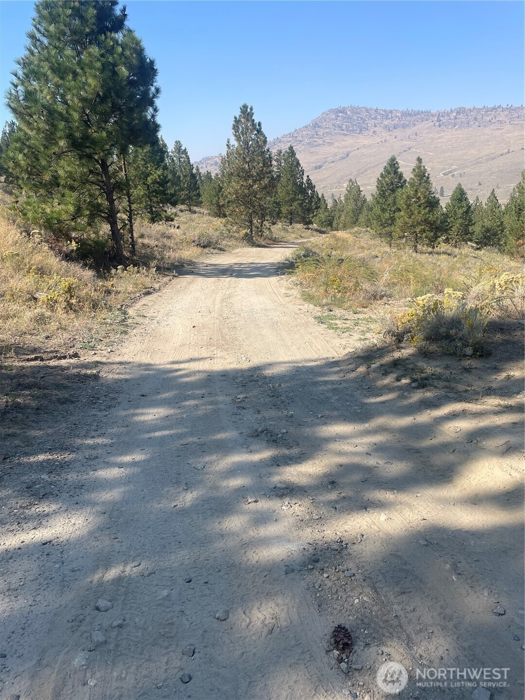 -tbd Reevas Basin Road Tonasket, WA 98855 - Photo 4 of 38