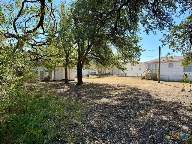 a view of a yard with trees