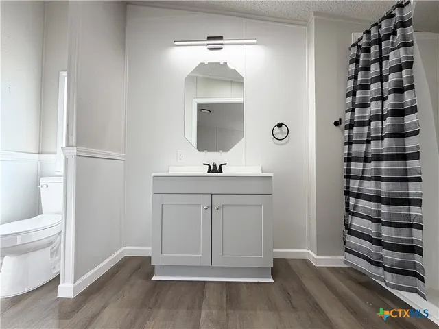 a bathroom with a sink a toilet and a mirror