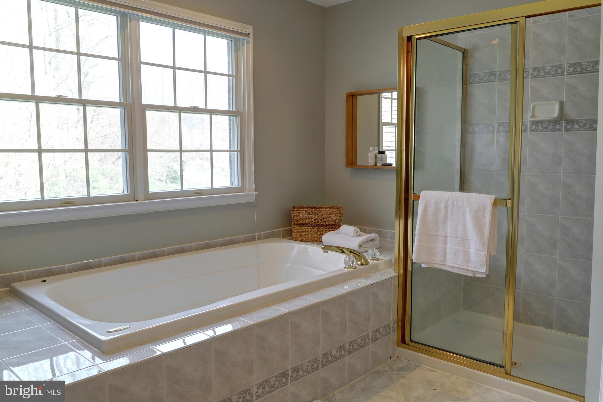 26 Riders Court Edgewater, MD 21037 - Photo 21 of 30 Bath (Master)