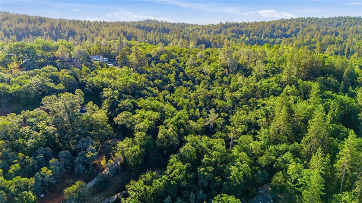 16095 Auburn Road Grass Valley, CA 95949 - Photo 5 of 20