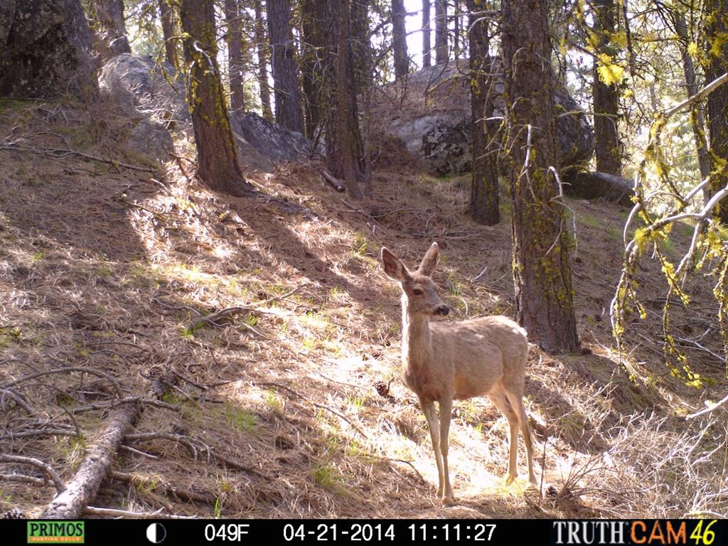 L16-b1 Lantern Way, Unit 16 Cascade, ID 83611 - Photo 36 of 39