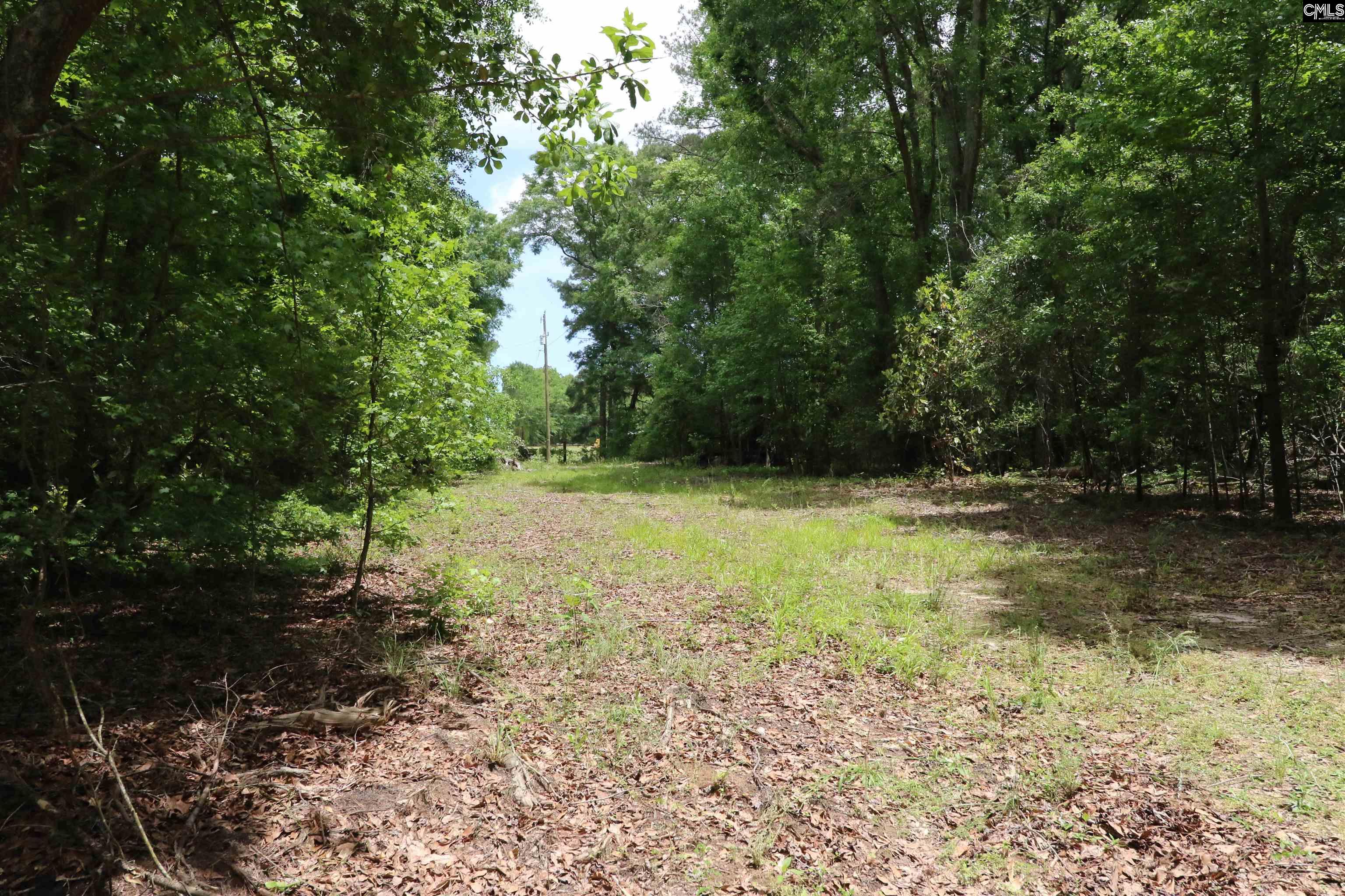 1091 Pine Grove Road Leesville, SC 29070 - Photo 2 of 19