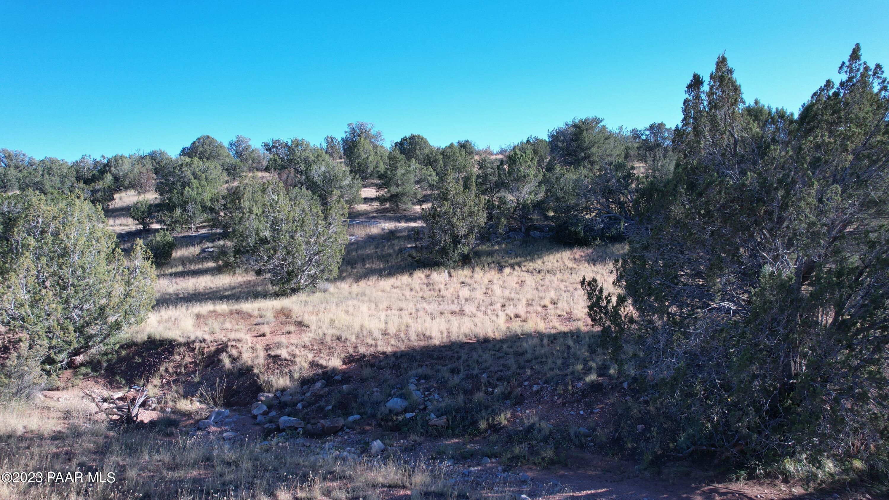 30863 West Basconia Road Seligman, AZ 86337 - Photo 6 of 9 a view of a yard with a tree