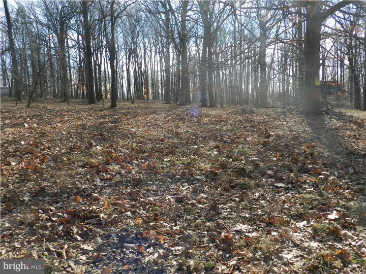 4047 Howell Road, Unit LOT 1 Malvern, PA 19355 - Photo 2 of 3 Gallery Image 2