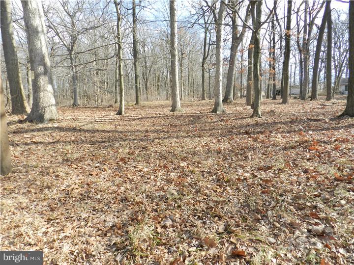 4047 Howell Road, Unit LOT 1 Malvern, PA 19355 - Photo 3 of 3 Gallery Image 3