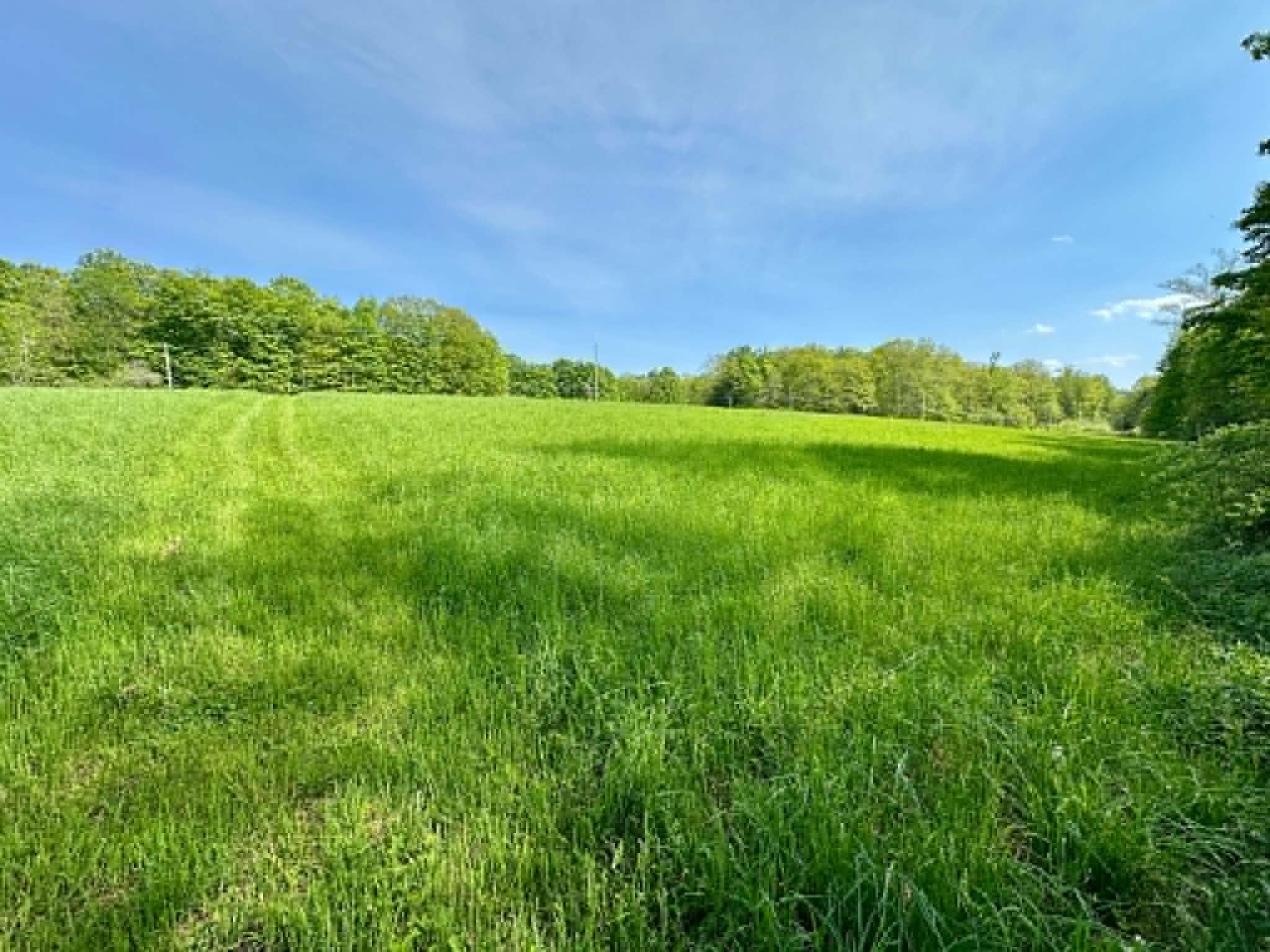 Lot A Sweet Pond Road, Unit LOT 1 Guilford, VT 05301 - Photo 6 of 9
