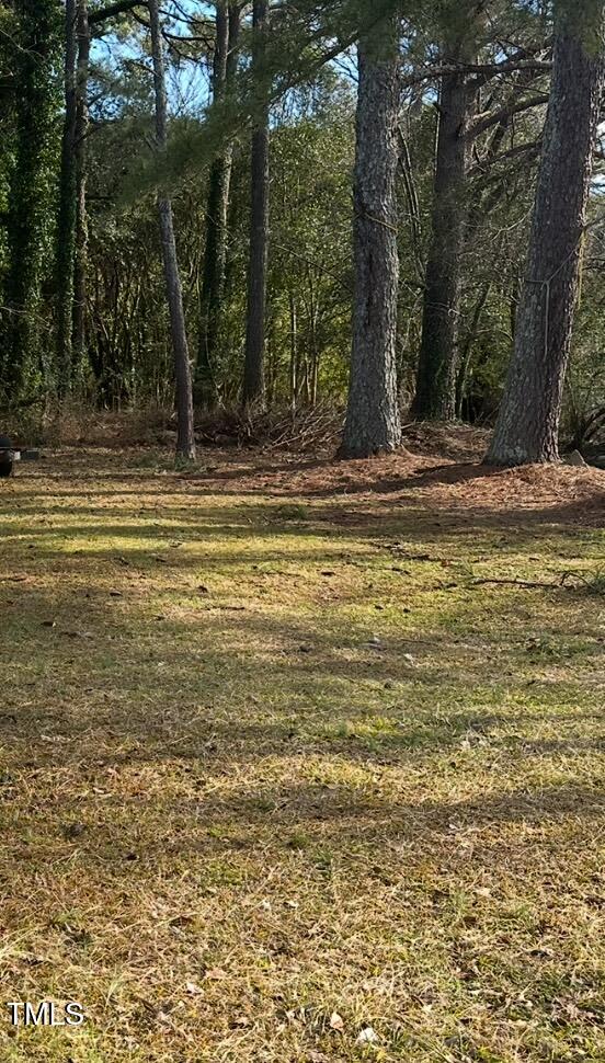 2809 Sadie Hopkins Street Raleigh, NC 27603 - Photo 1 of 2 Sadie Hopkins6