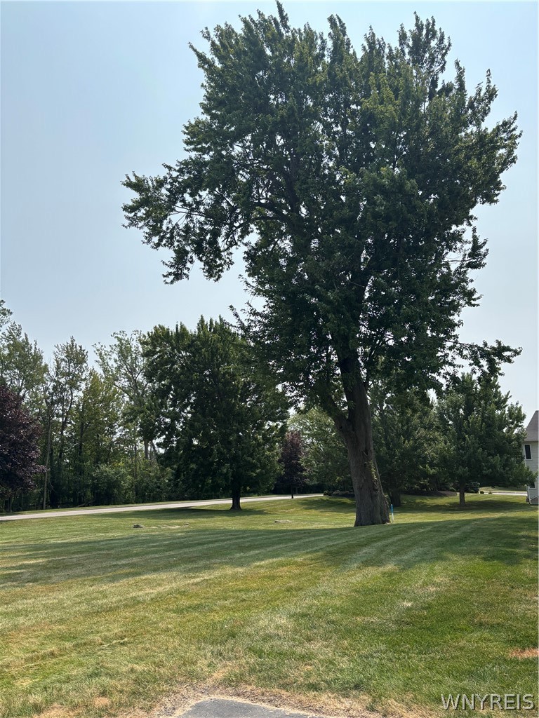 4785 Chestnut Ridge Road, Unit 6 Amherst, NY 14228 - Photo 16 of 34 Lovely treed surroundings