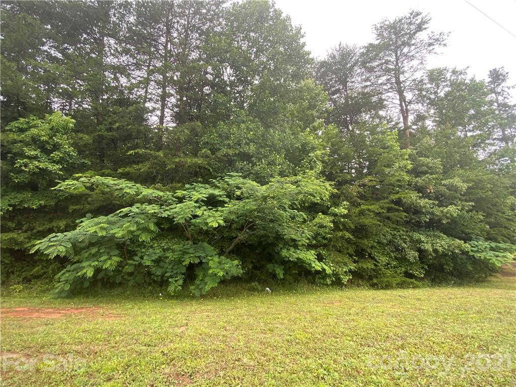 2 Beth Haven Church Road, Unit 2 Denver, NC 28037 - Photo 2 of 4 Gallery Image 2