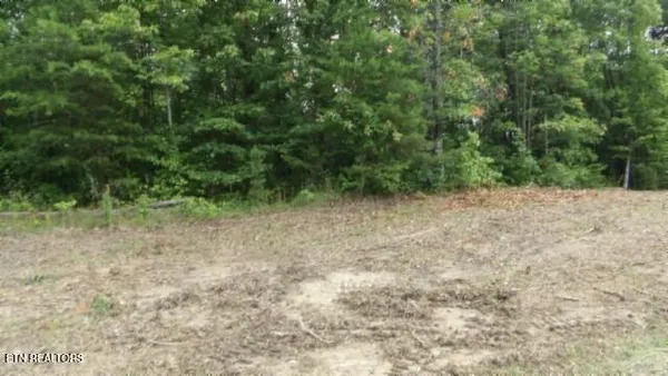 $69,900 | Lot 222 Hilltop Lane, Wilder, TN 38589