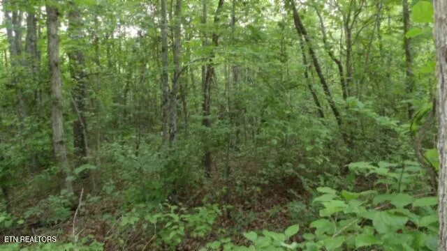 $69,900 | Lot 222 Hilltop Lane, Wilder, TN 38589