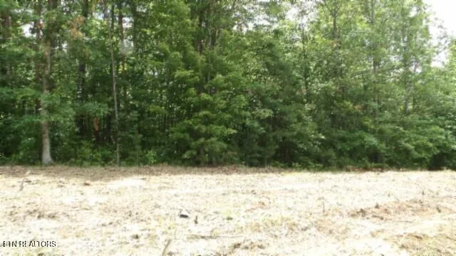 $69,900 | Lot 222 Hilltop Lane, Wilder, TN 38589