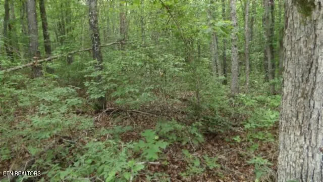 $69,900 | Lot 222 Hilltop Lane, Wilder, TN 38589
