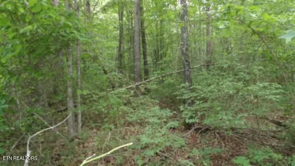 $69,900 | Lot 222 Hilltop Lane, Wilder, TN 38589