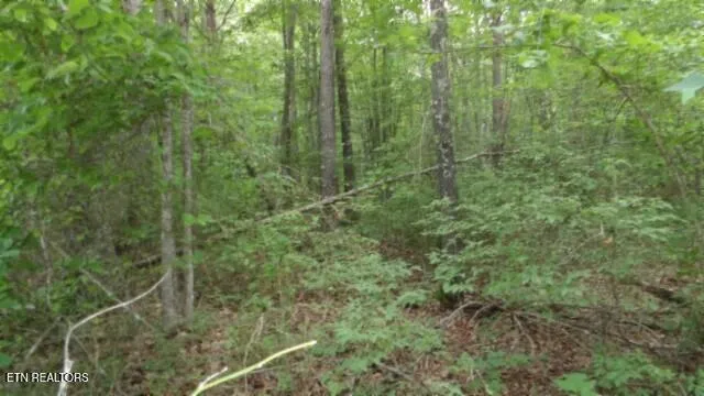 $69,900 | Lot 222 Hilltop Lane, Wilder, TN 38589