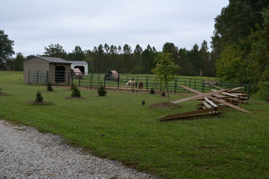 455 Taro Road Cullen, VA 23934 - Photo 14 of 36 Gallery Image 14