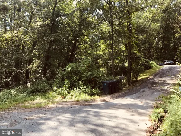 a view of road and trees