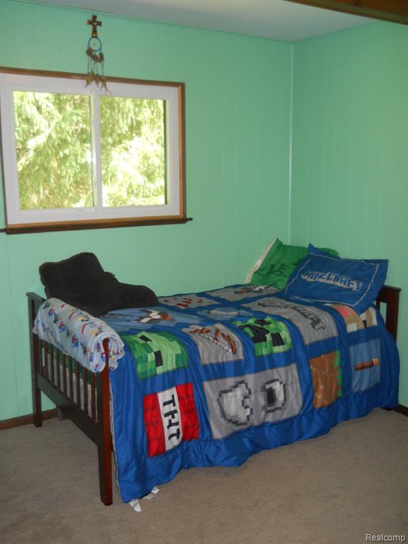 2829 East Schafer Road Howell, MI 48843 - Photo 14 of 38