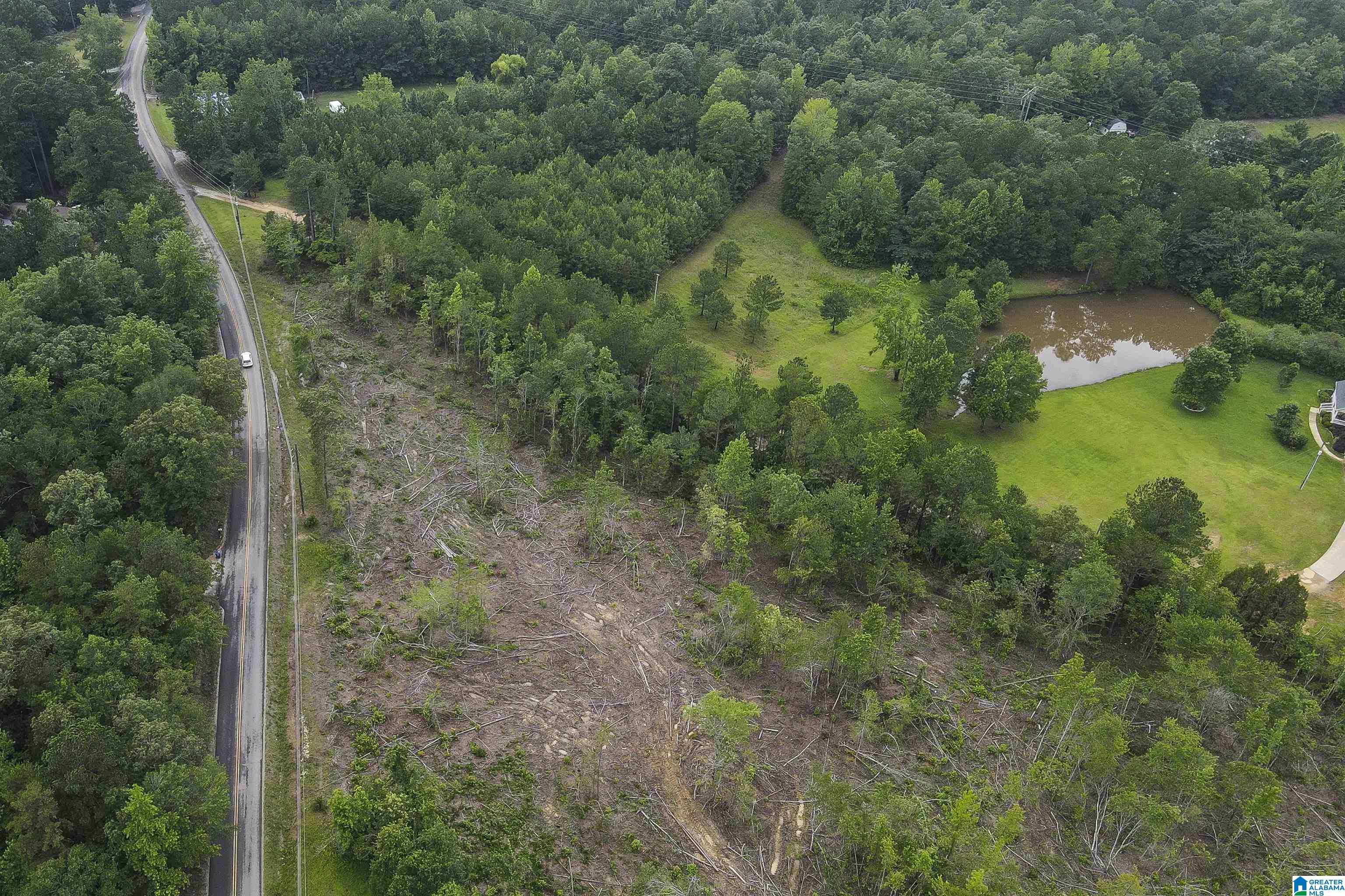 0 Cochran Springs Road, Unit 3 66 AC Ohatchee, AL 36271 - Photo 10 of 11 Gallery Image 10