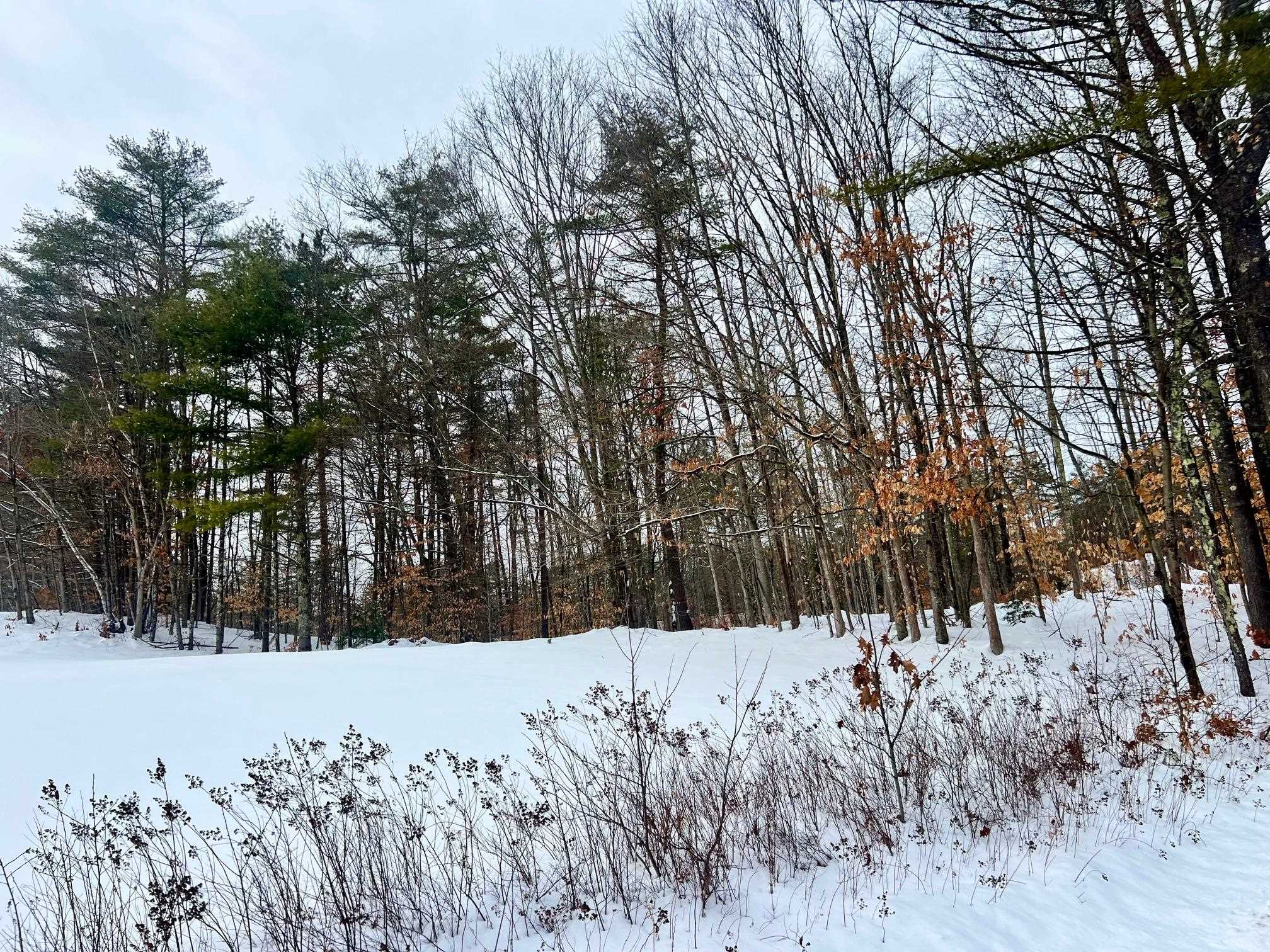 200 Walker Road Alexandria, NH 03222 - Photo 8 of 17