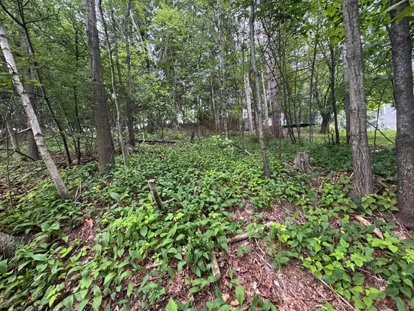 a view of outdoor space and trees all around