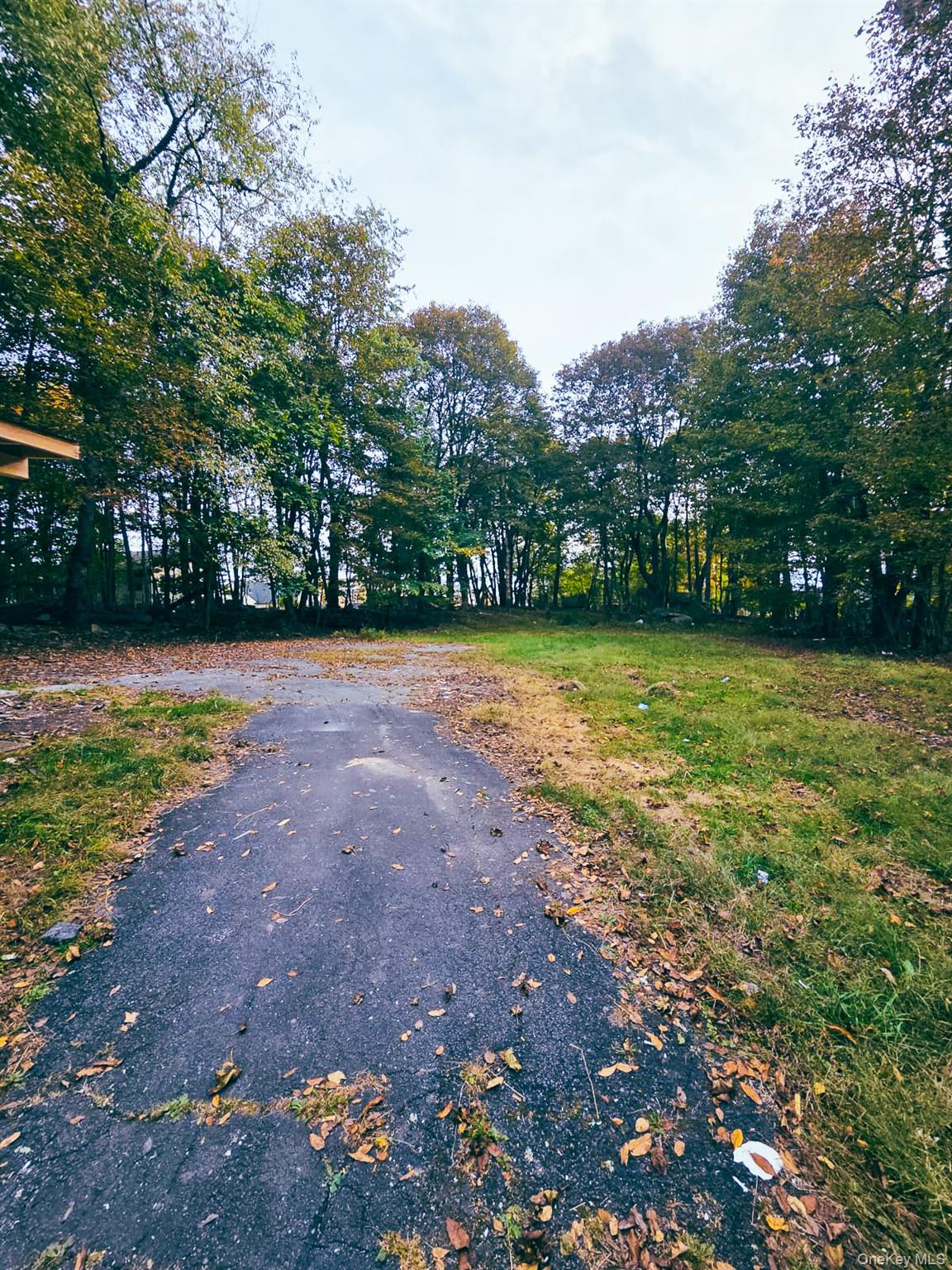 8 Cottage Street, Unit 1 Monticello, NY 12701 - Photo 3 of 9 Backyard