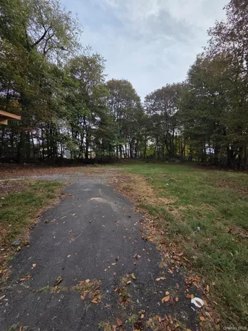 a view of a trees with backyard of green space