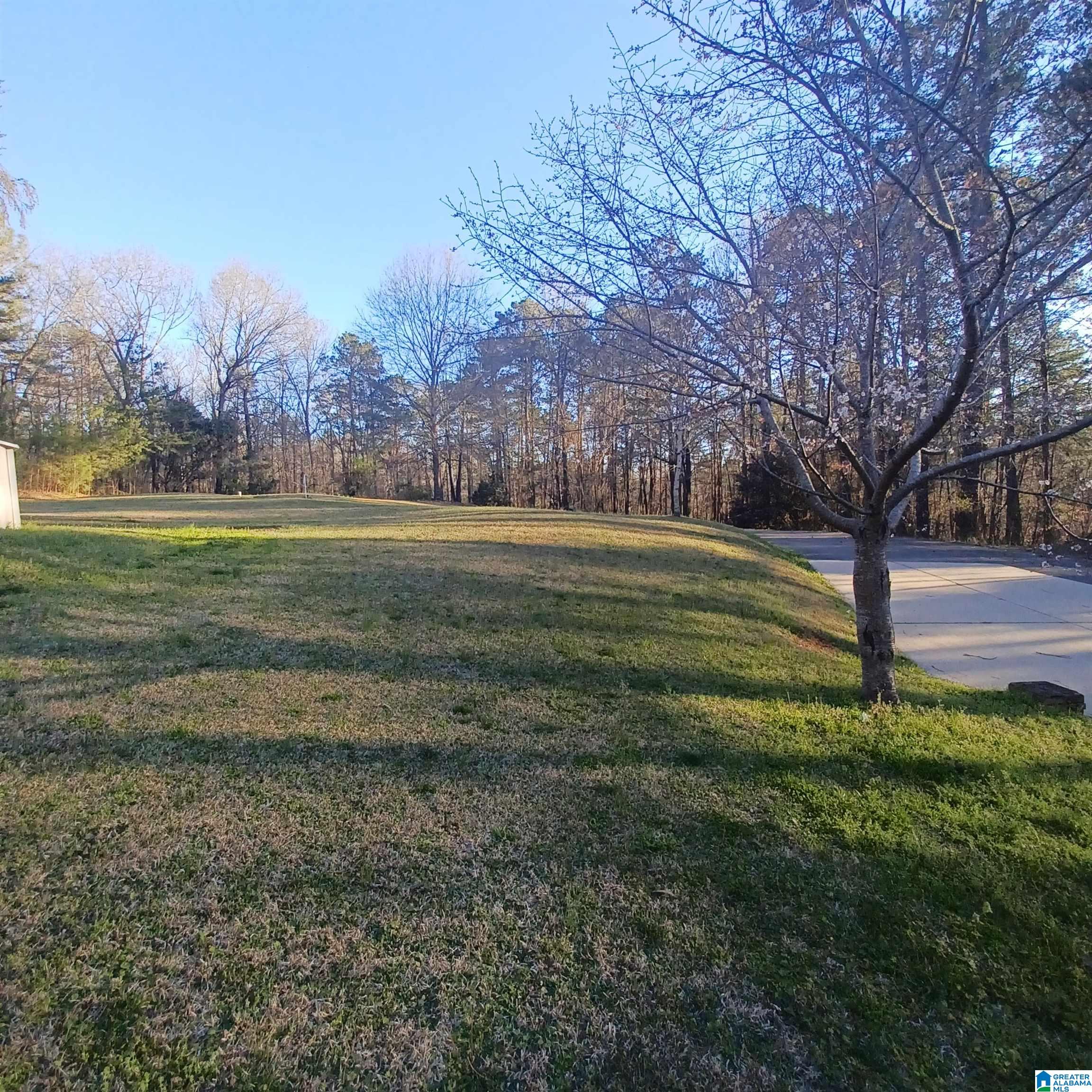 7459 15th Street Road Bessemer, AL 35023 - Photo 12 of 97 Gallery Image 12