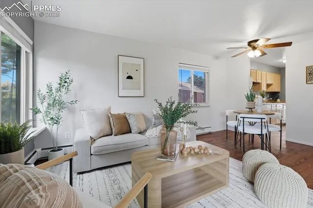 a living room with furniture potted plant and mirror