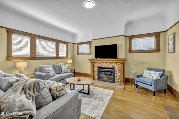 a living room with furniture and a potted plant