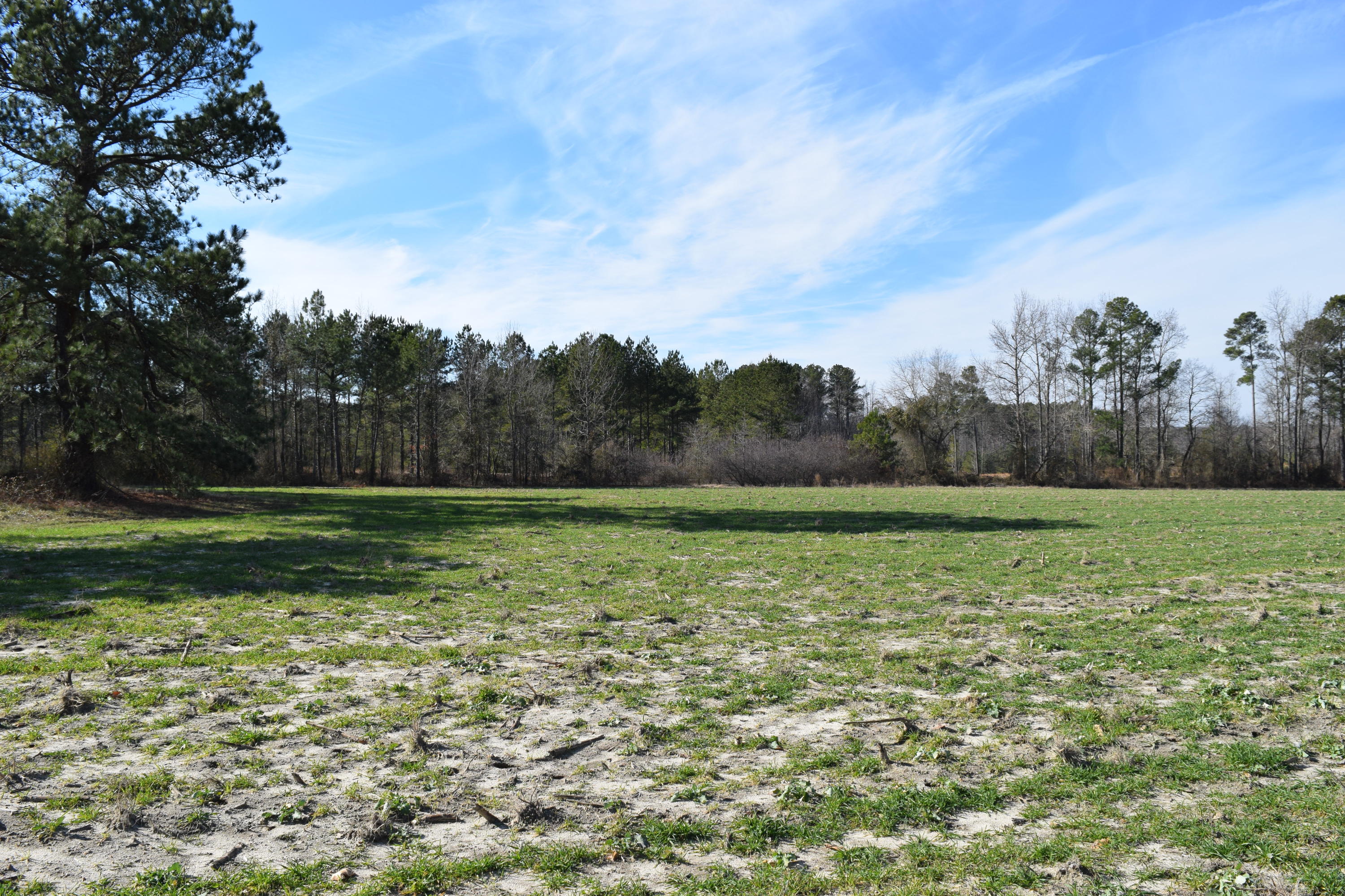 1090 Bryant Road Cameron, NC 28326 - Photo 1 of 21 DSC_0407