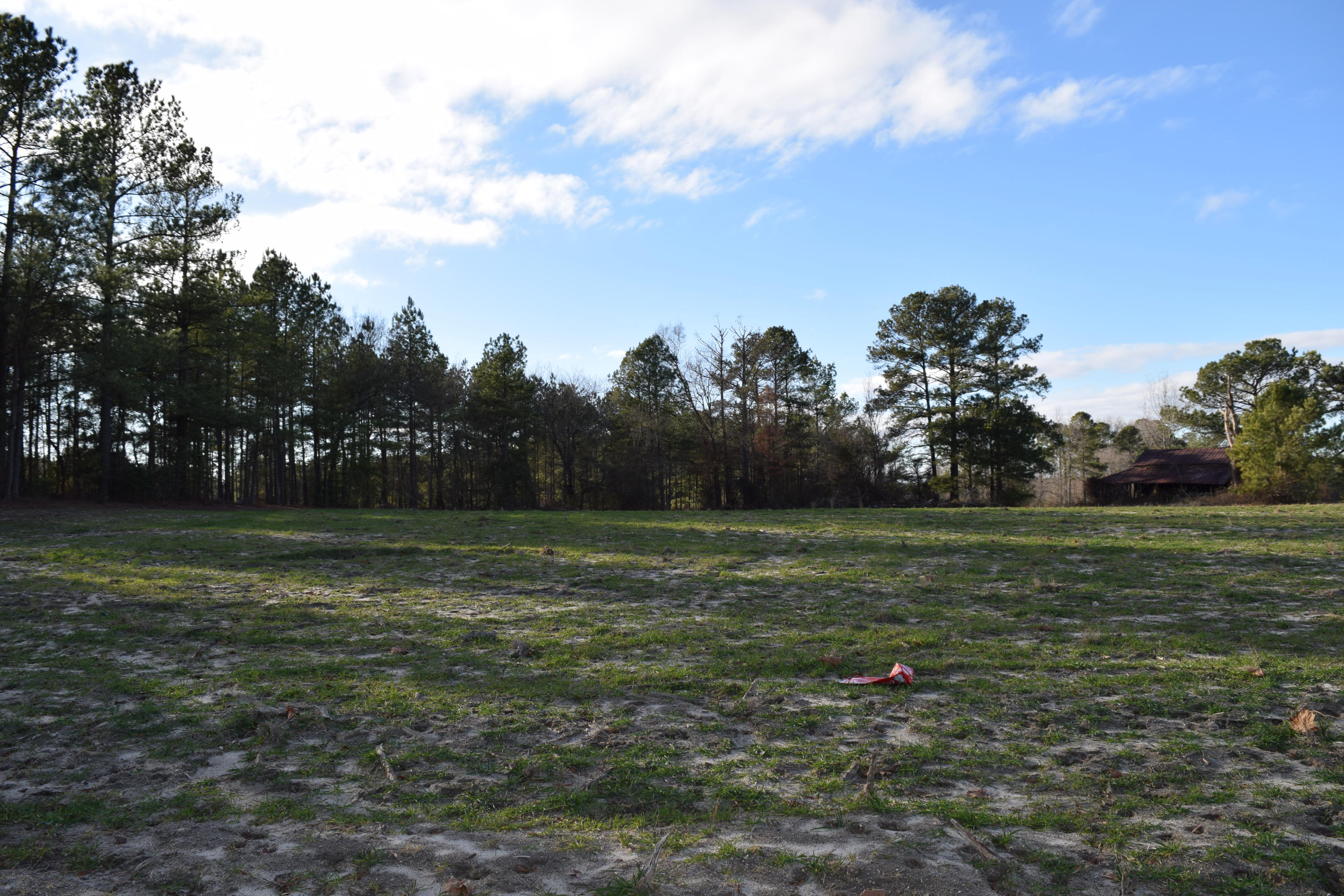 1090 Bryant Road Cameron, NC 28326 - Photo 15 of 21 DSC_0393