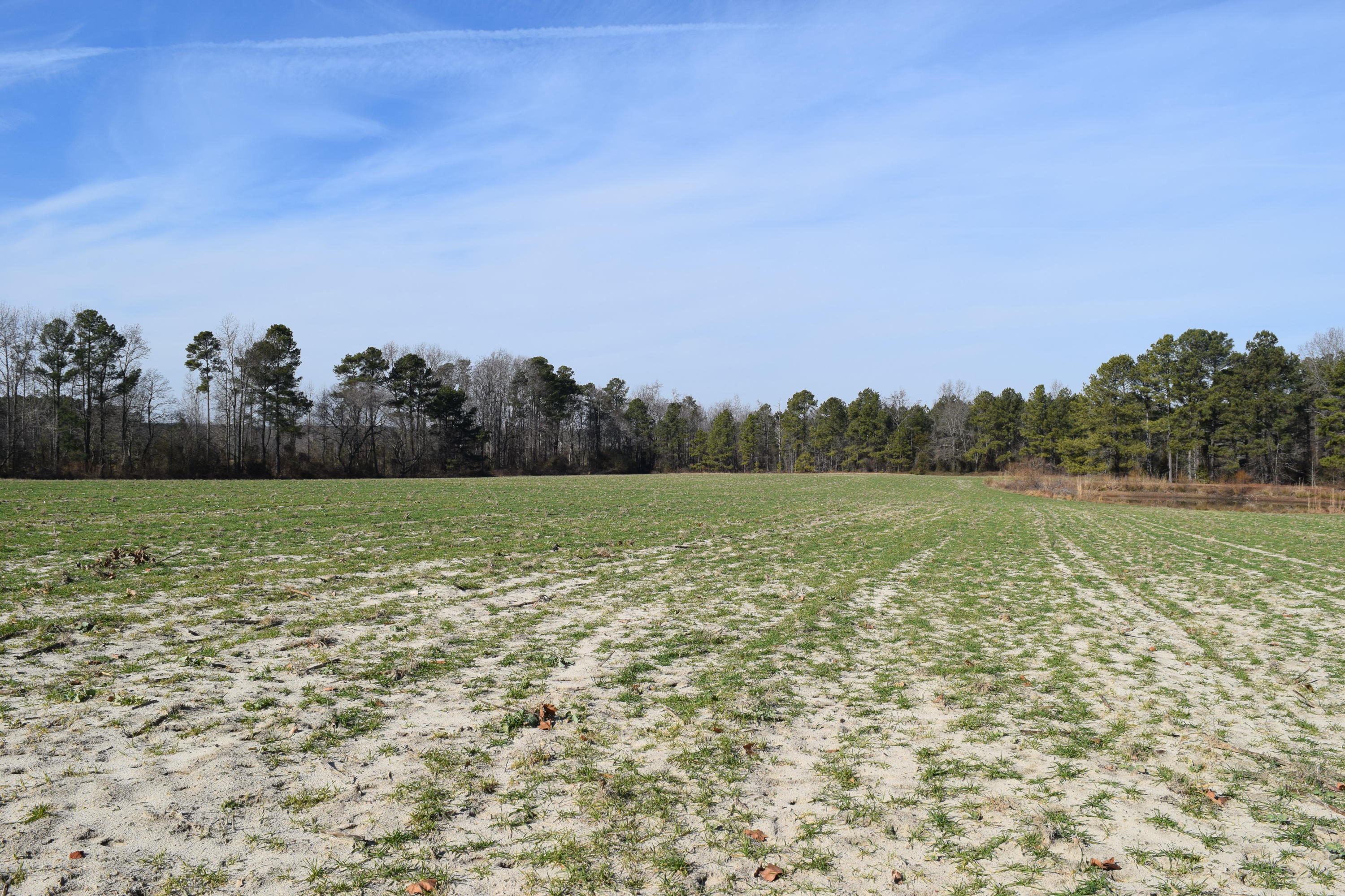 1090 Bryant Road Cameron, NC 28326 - Photo 17 of 21 DSC_0404