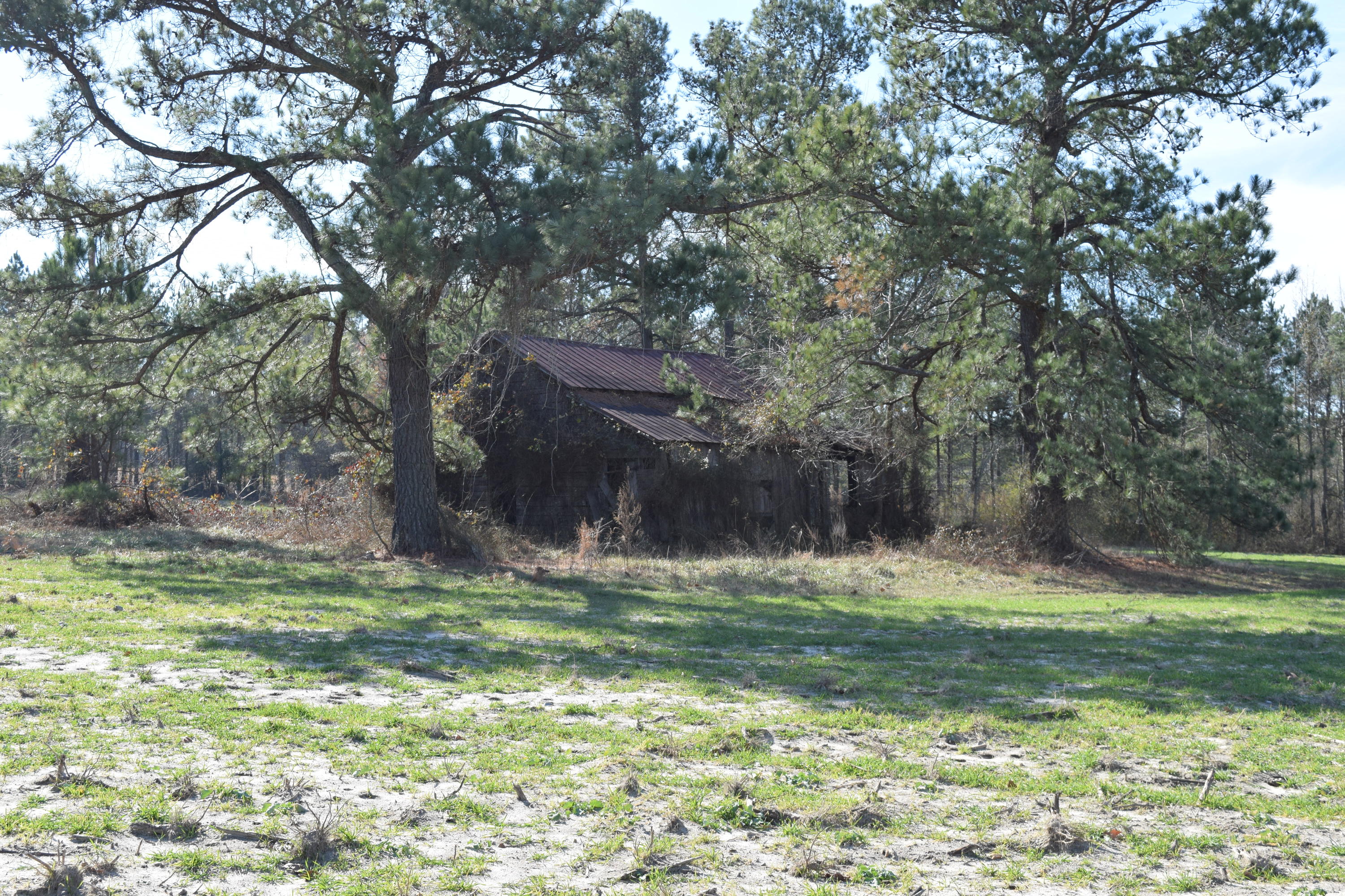 1090 Bryant Road Cameron, NC 28326 - Photo 4 of 21 DSC_0408