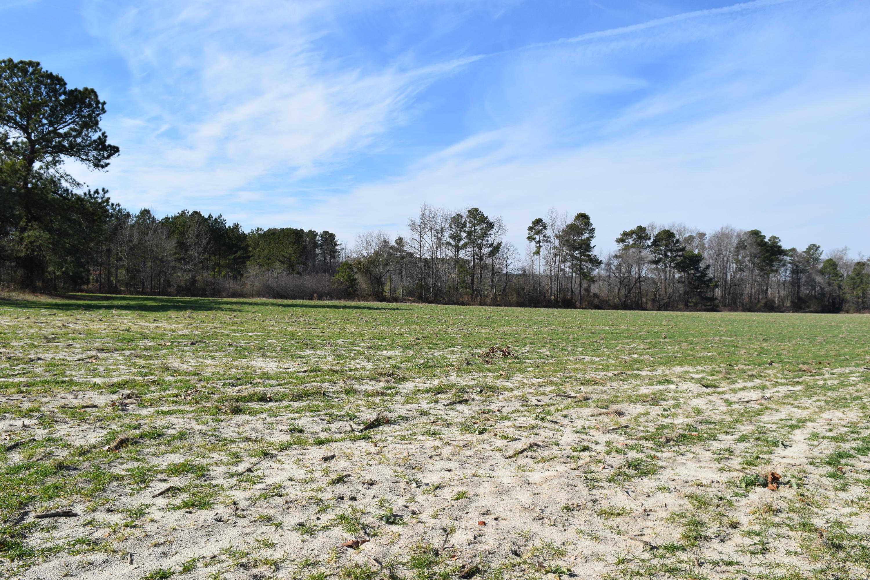 1090 Bryant Road Cameron, NC 28326 - Photo 7 of 21 DSC_0405