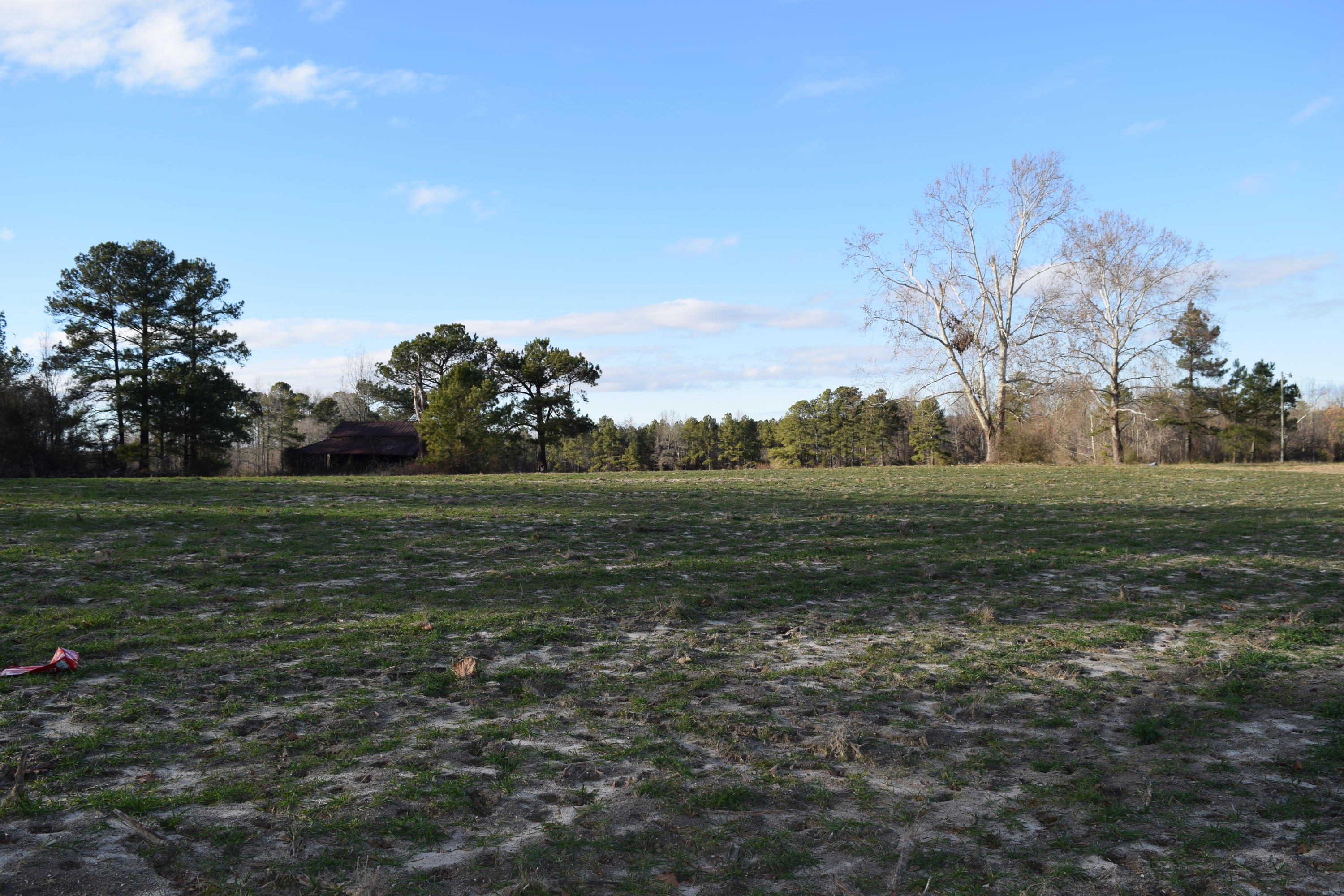 1090 Bryant Road Cameron, NC 28326 - Photo 10 of 21 DSC_0396