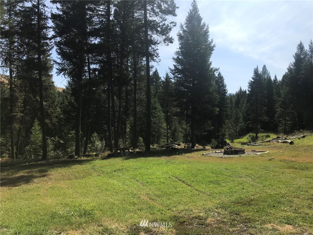 202 Lambert Creek Road Republic, WA 99166 - Photo 20 of 24 Gallery Image 20